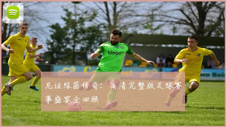 见证绿茵传奇:高清完整版足球赛事盛宴全回顾