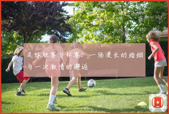 足球联赛与杯赛:一场漫长的婚姻与一次激情的邂逅